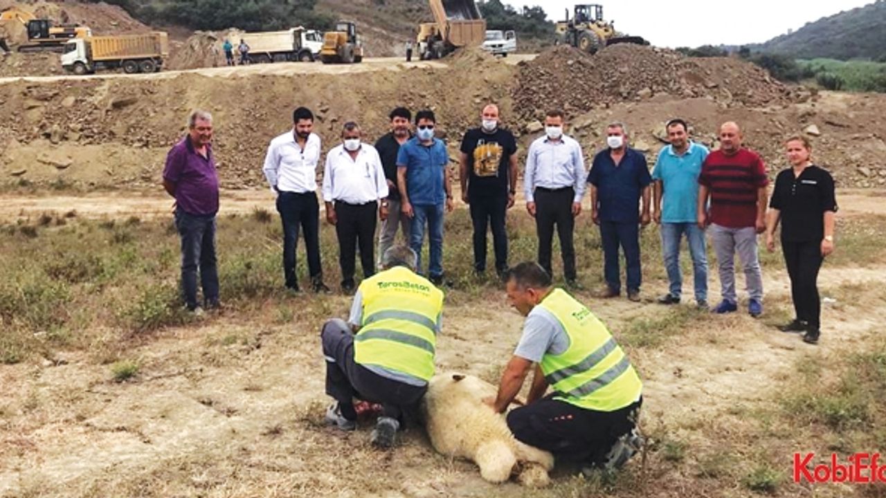 Ceyhan OSB’de ilk fabrika heyecanı