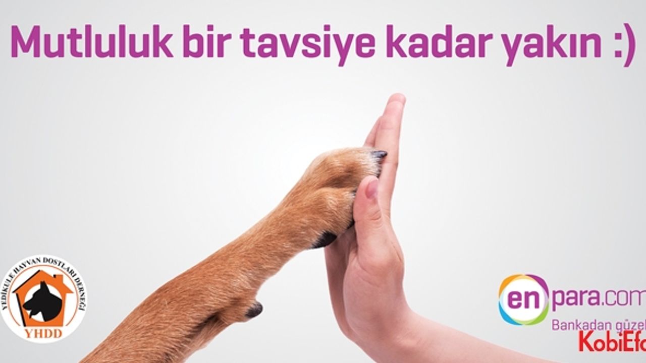 Enpara.com’dan yeni bir sosyal sorumluluk projesi