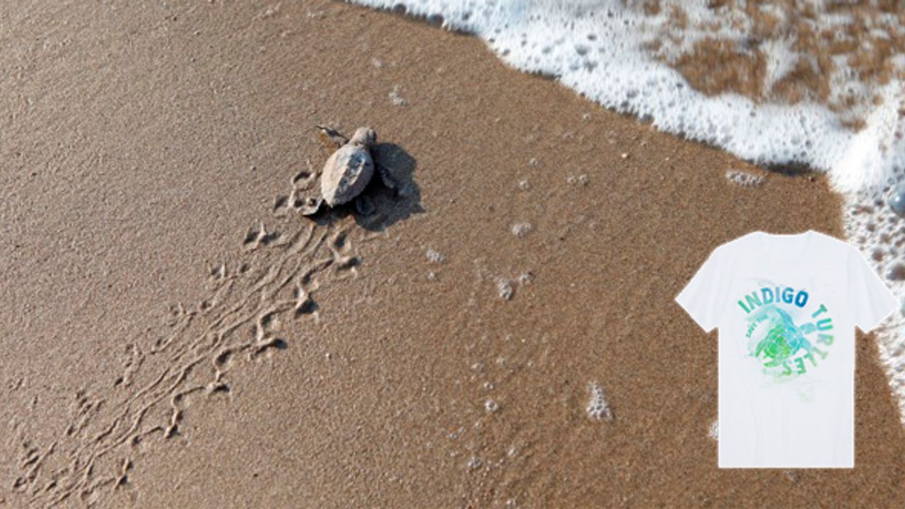 Mavi’den Caretta Caretta’lara hayat veren tişörtler
