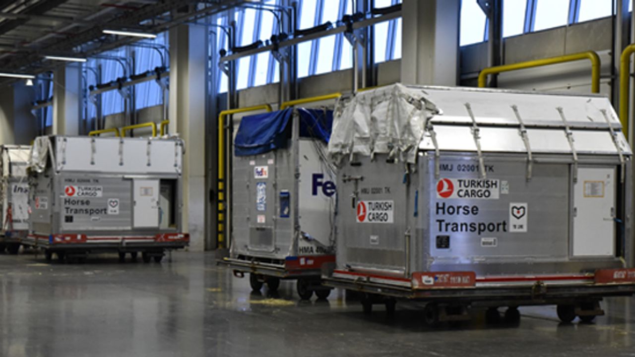 Turkish Cargo, 63 atı bulutların üzerinde güvenle taşıdı