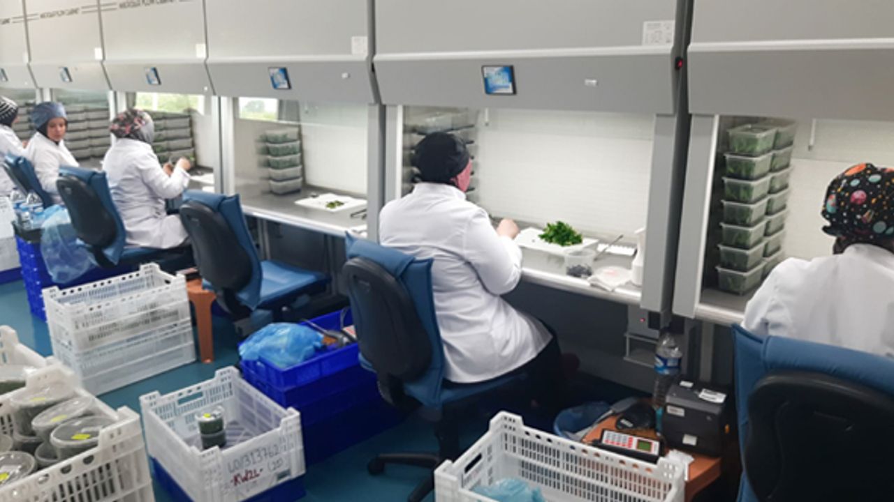 Sakarya Doku Kültürü Laboratuvarı’ndan ilk ihracat