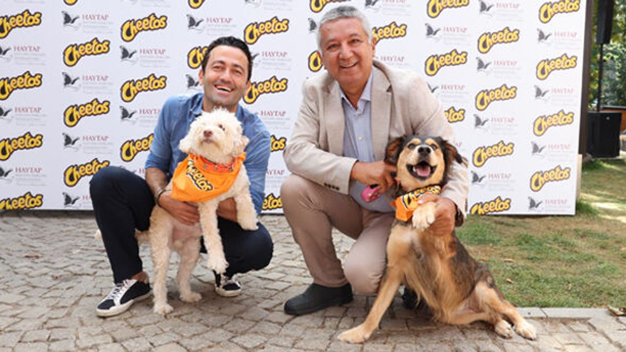 Cheetos patili dostlarımıza yuva buluyor