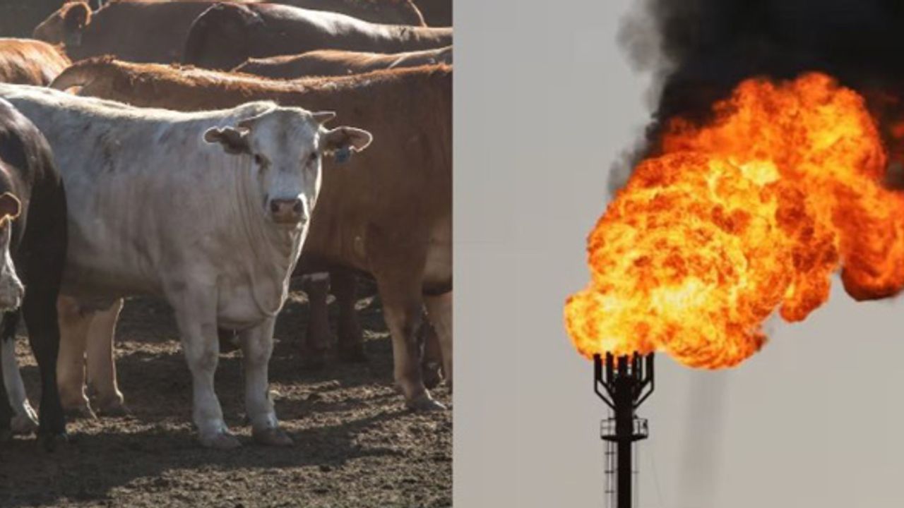 Metan emisyonlarının azaltımıyla Türkiye enerji güvenliğini artırabilir
