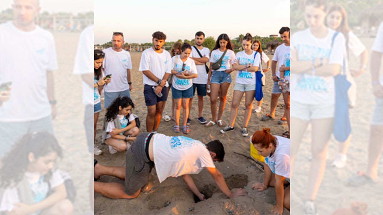 Mavi’nin, Indigo Turtles projesi devam ediyor