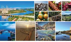 Adana 2022 ihracatıyla Türkiye ortalamasının üstüne çıktı; Yatırımcının radarında Adana var