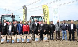 Silivri Belediyesi’nden milli ayçiçeği