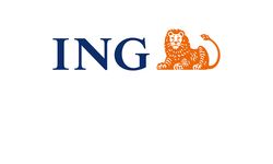 ING’den ‘ING KOBİ Blog’