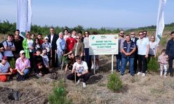 KOSBİ’den 100. Yıl Cumhuriyet Ormanı