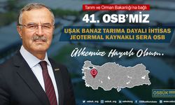 41. TDİOSB kuruldu