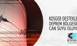 KOSGEB destekleri can suyu oluyor