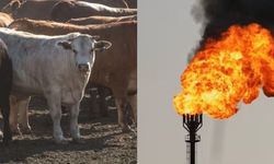 Metan emisyonlarının azaltımıyla Türkiye enerji güvenliğini artırabilir
