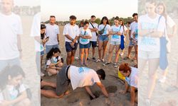 Mavi’nin, Indigo Turtles projesi devam ediyor