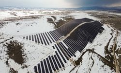 Enerjisini güneşten alan BİM’den 4 yeni GES yatırımı