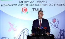 Zengezur Koridoru Türk coğrafyasını bütünleştirecek