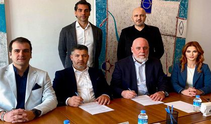 Insense globale açılıyor