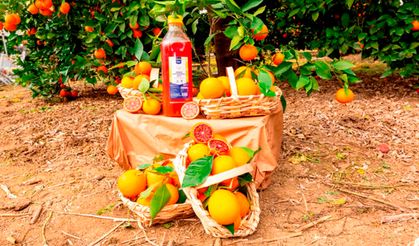 Mersin Kan Portakalı, 3 çeşidiyle Metro’da