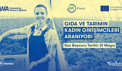 Son başvuru 31 Mayıs