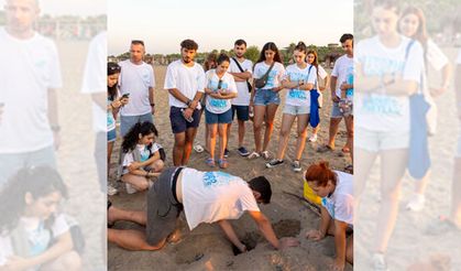 Mavi’nin, Indigo Turtles projesi devam ediyor