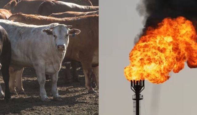 Metan emisyonlarının azaltımıyla Türkiye enerji güvenliğini artırabilir