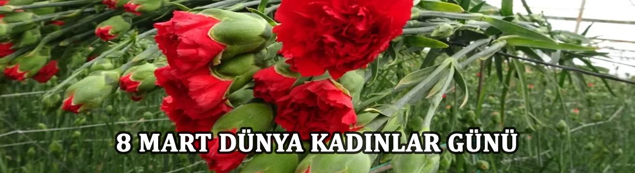 8 MART DÜNYA KADINLAR GÜNÜ