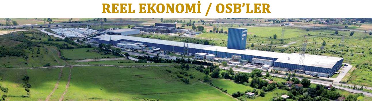 REEL EKONOMİ/ORGANİZE SANAYİ BÖLGELER (OSB'LER)