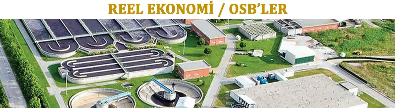 REEL EKONOMİ/ORGANİZE SANAYİ BÖLGELER (OSB'LER)